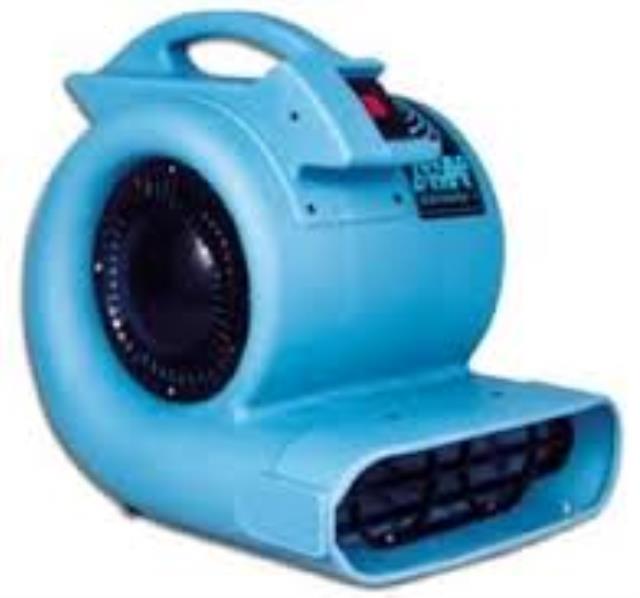 Where to find Carpet Dryer Fan 1 in Fulton